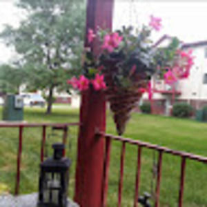 Meet your Posher, Joanne